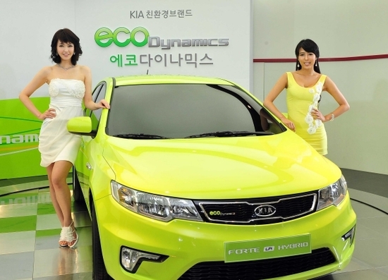 포르테 이미지
